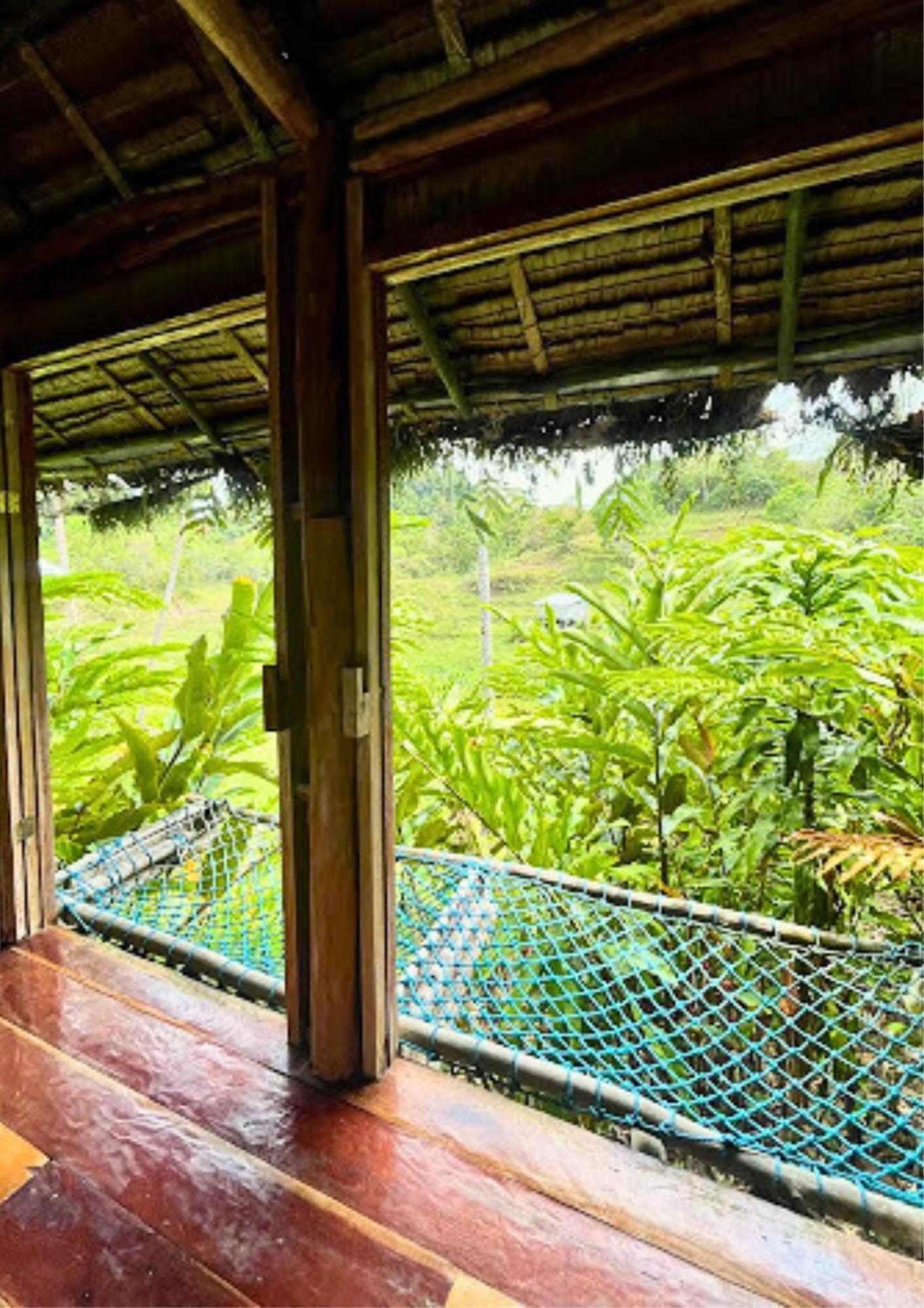 Canjahawon Nipa Hut Homestay *