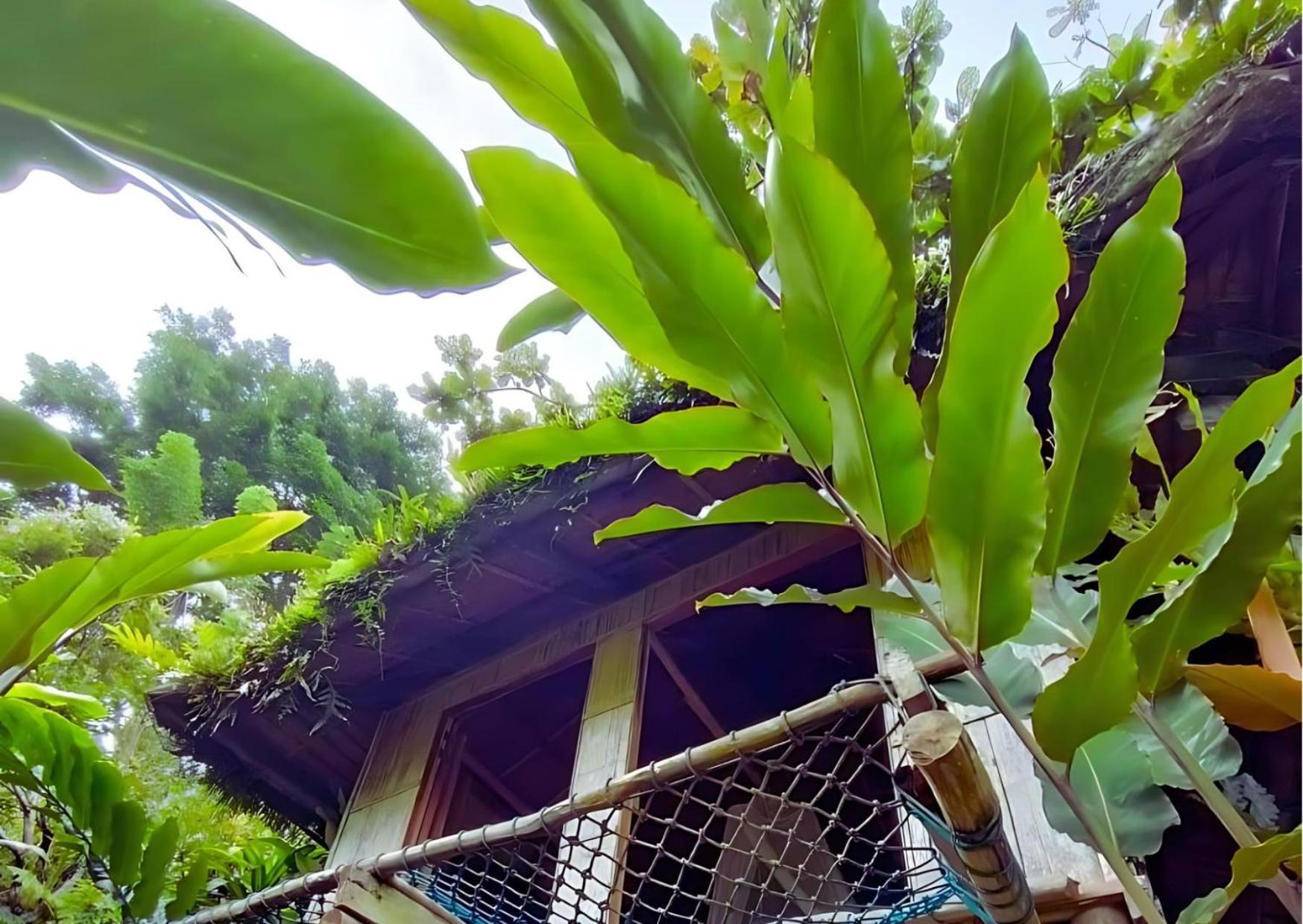 Homestay Canjahawon Nipa Hut