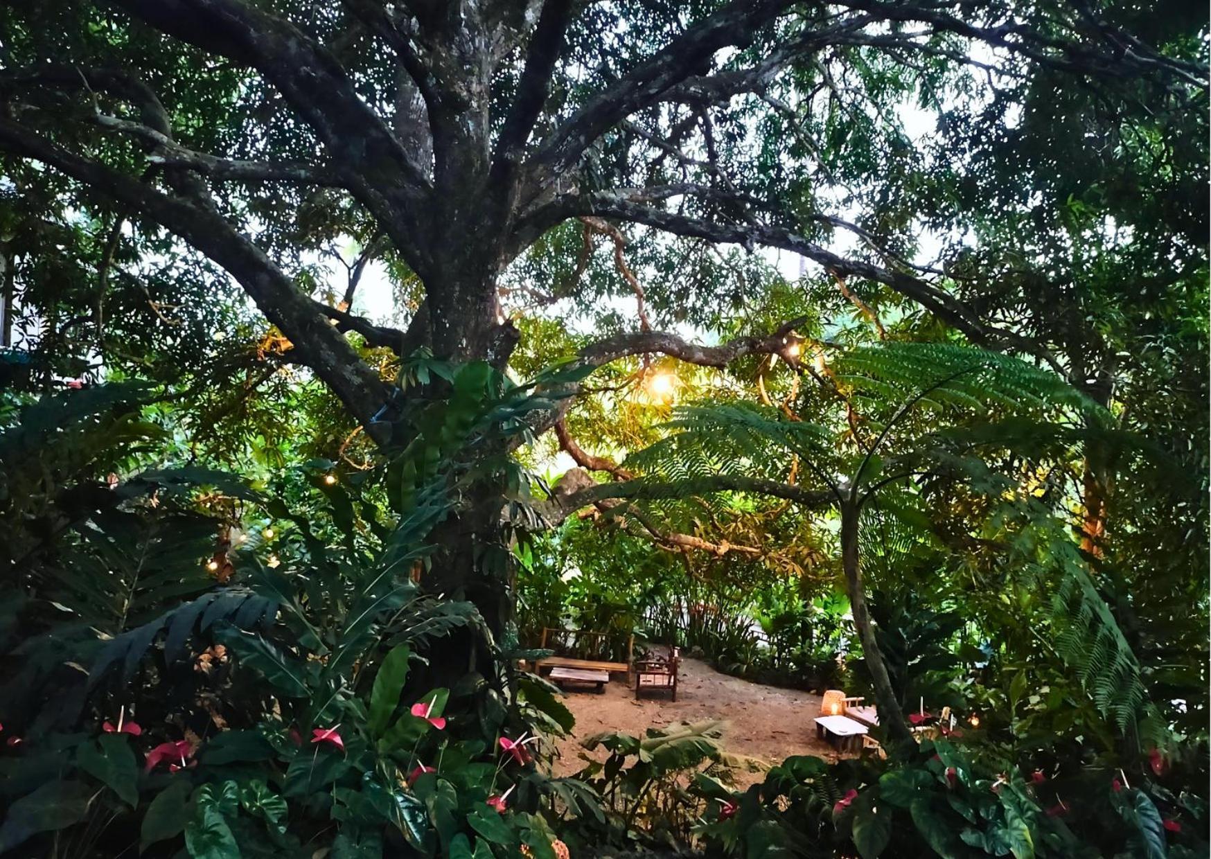 Canjahawon Nipa Hut Homestay *