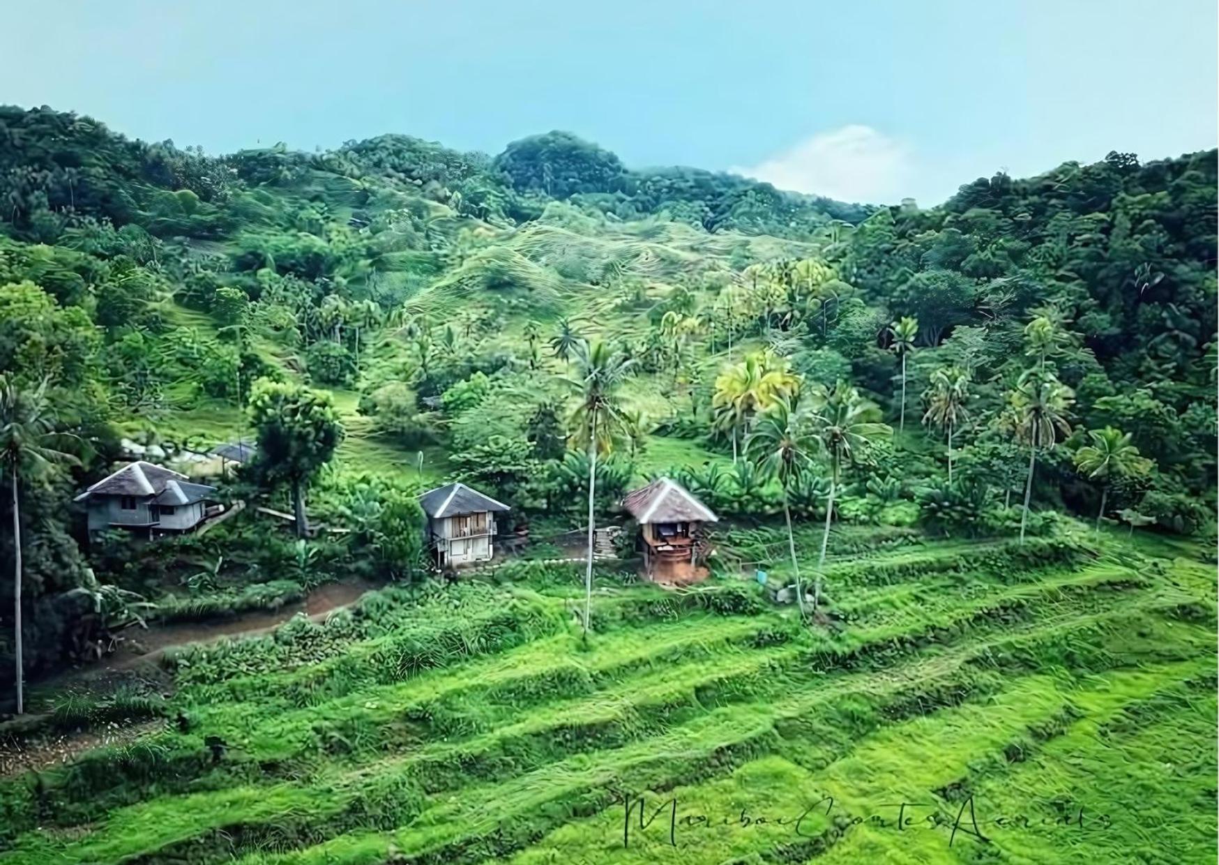 Canjahawon Nipa Hut Homestay