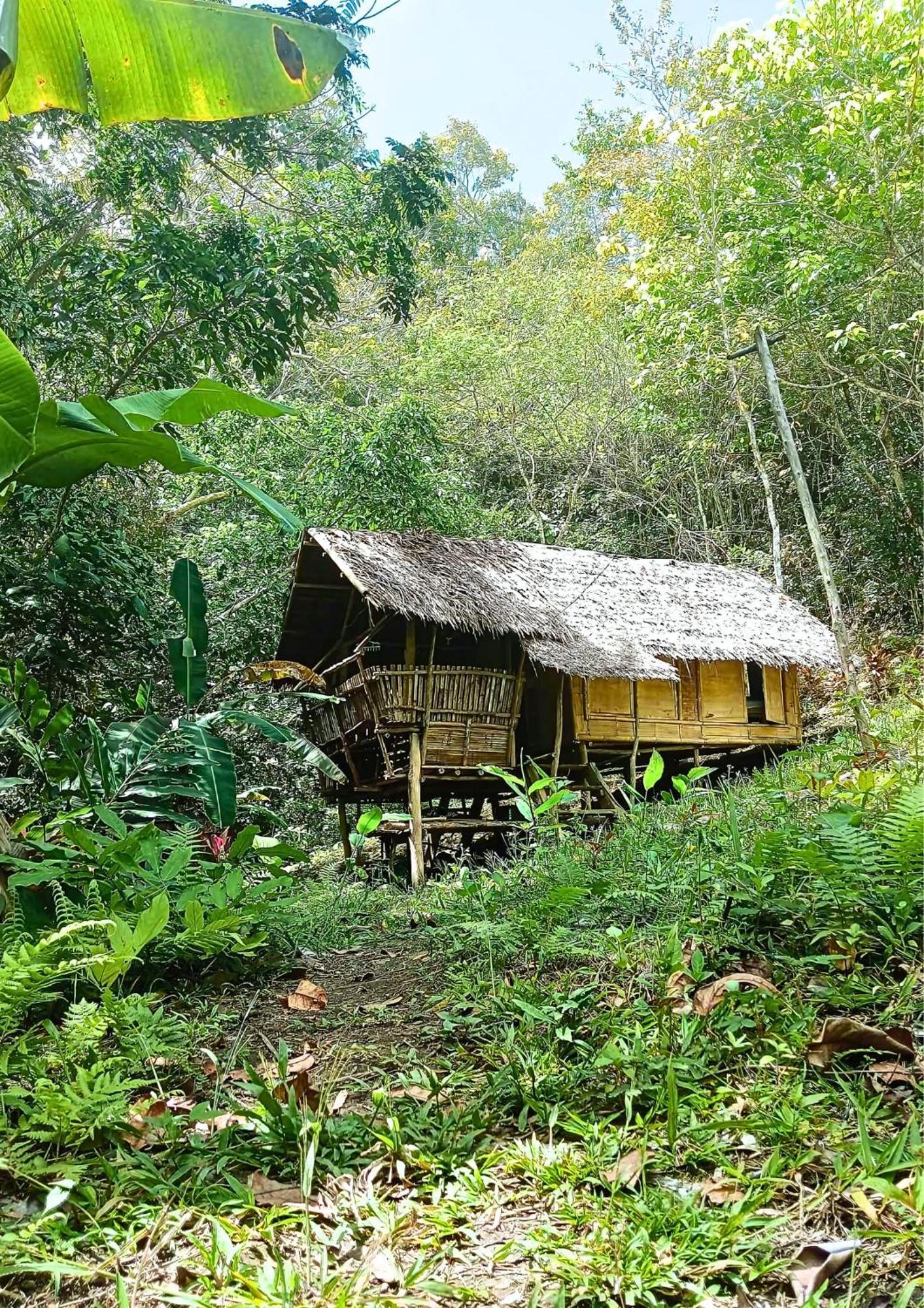 Canjahawon Nipa Hut Homestay *