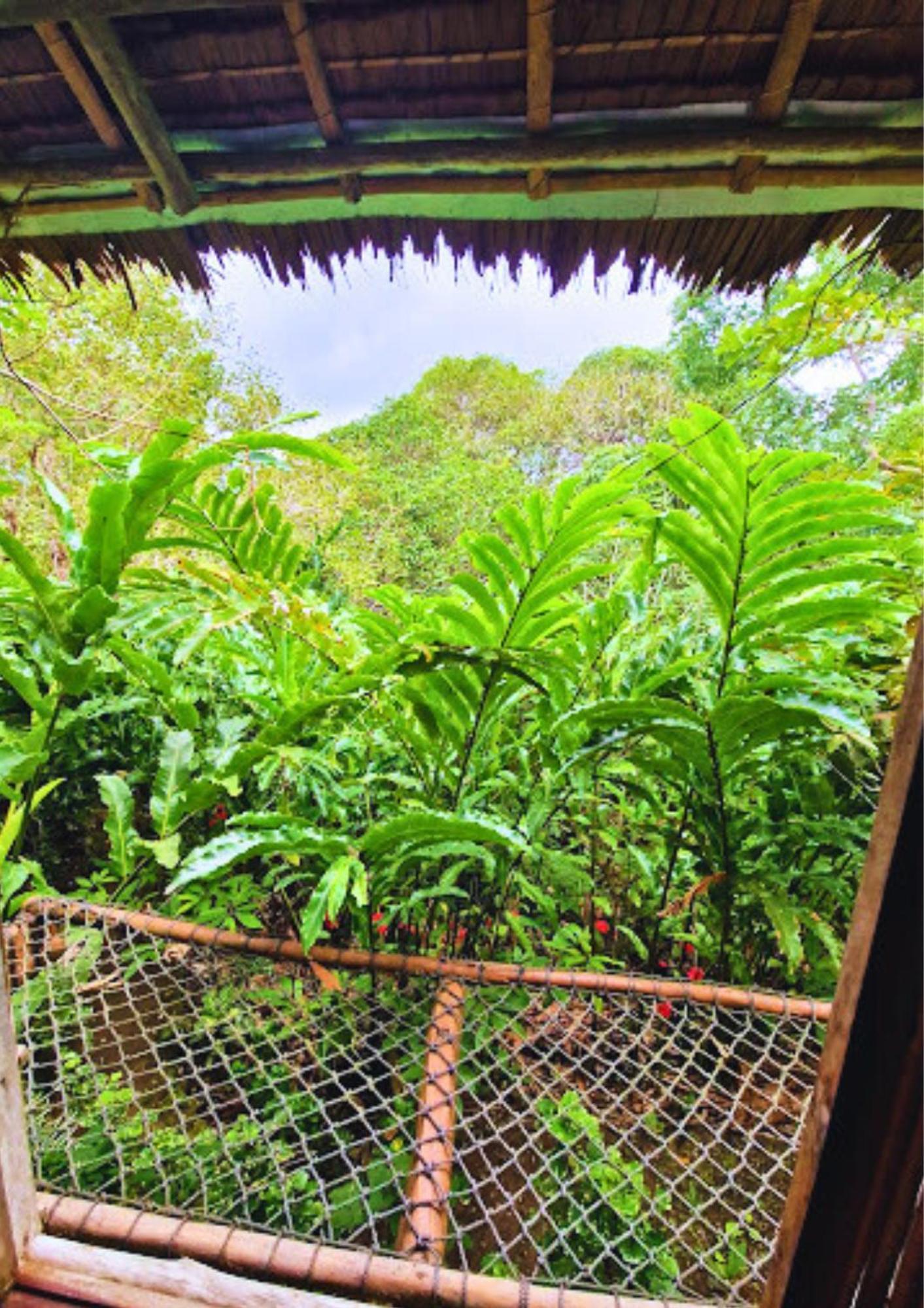 Canjahawon Nipa Hut Homestay